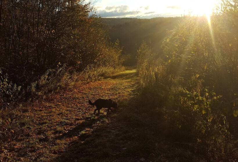 מוטל Tug Hill Resort