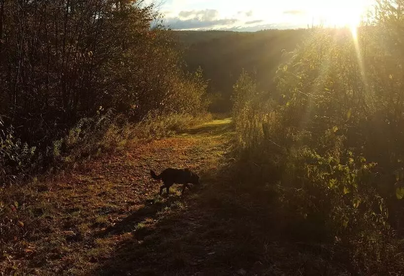 Motelli Tug Hill Resort