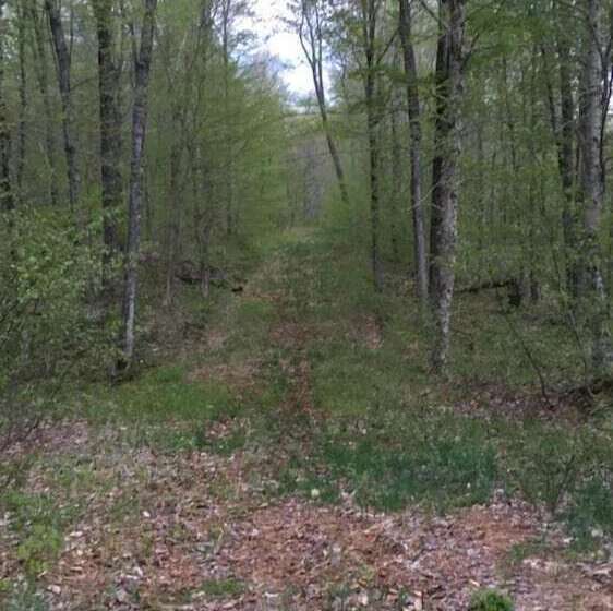 מוטל Tug Hill Resort