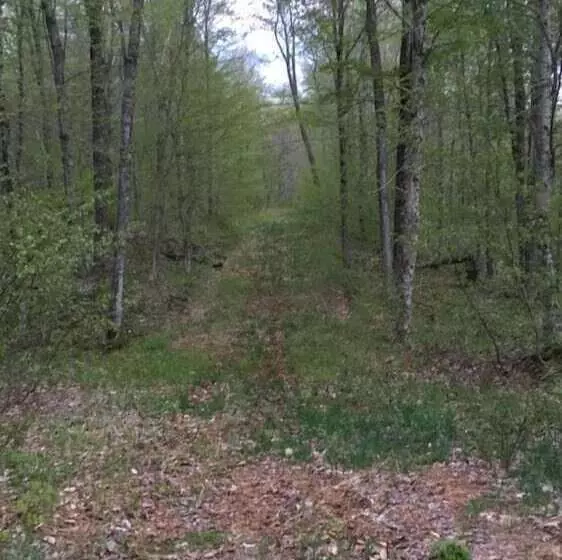 Motelli Tug Hill Resort