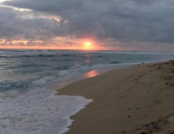 بنسيون Blue Corals Beach Bungalow