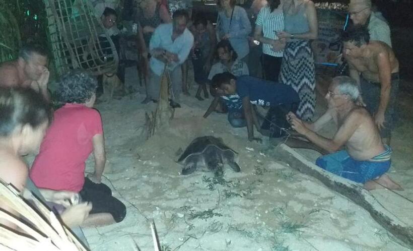 بنسيون Blue Corals Beach Bungalow