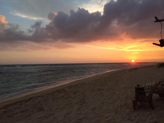 بنسيون Blue Corals Beach Bungalow