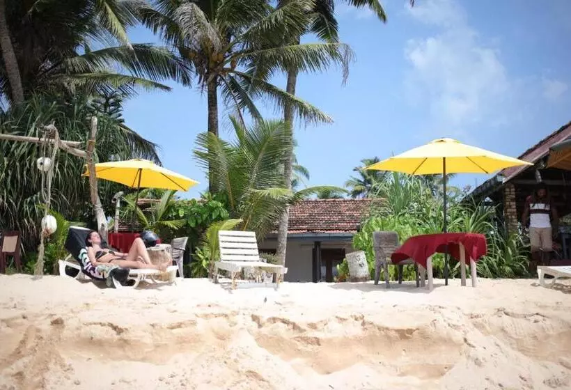پانسیون Blue Corals Beach Bungalow