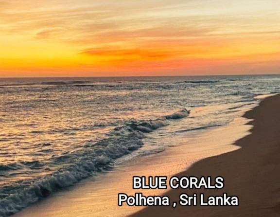 بنسيون Blue Corals Beach Bungalow