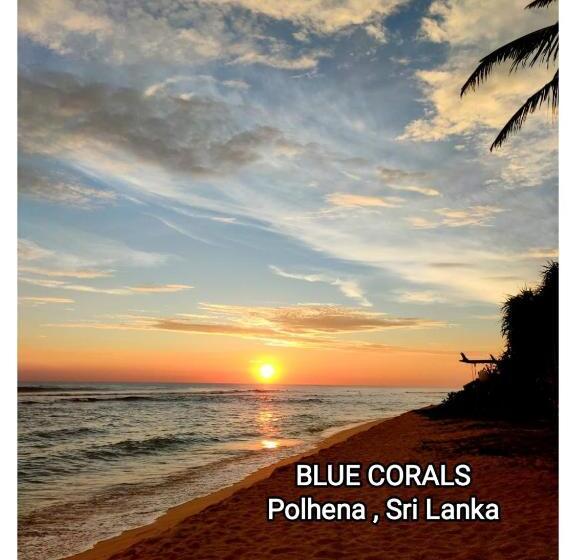 بنسيون Blue Corals Beach Bungalow