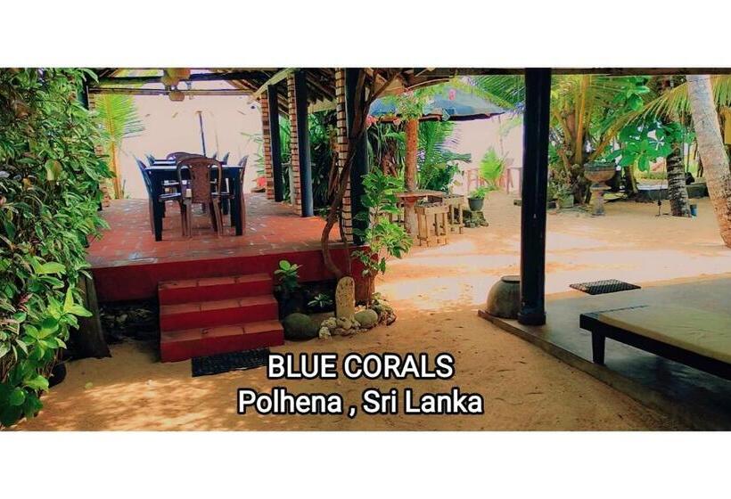 بنسيون Blue Corals Beach Bungalow