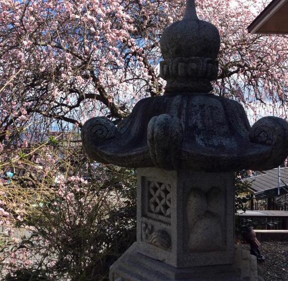 פנסיון Jonni`s Place