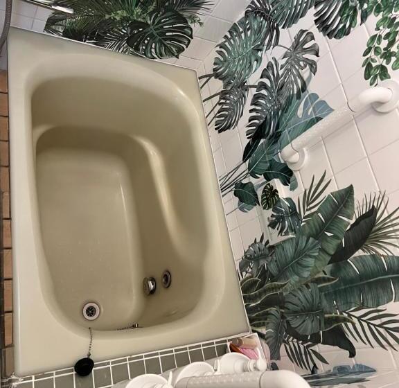 פנסיון Jonni`s Place