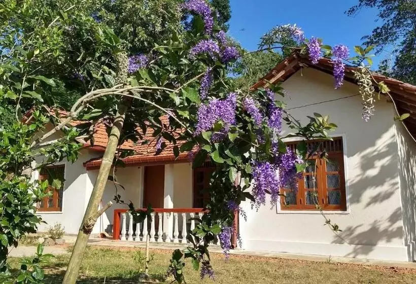 ペンション The Pepper Cottage