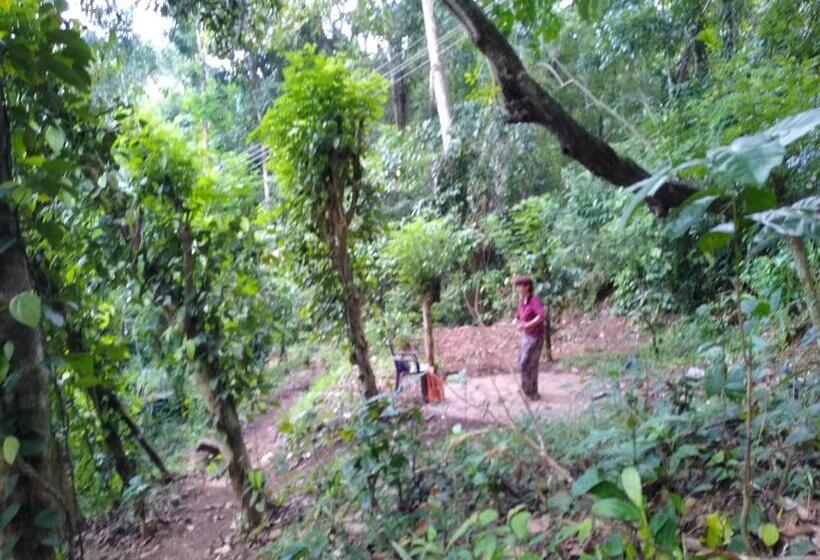 펜션 The Pepper Cottage