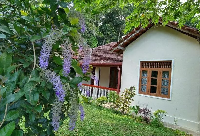 ペンション The Pepper Cottage