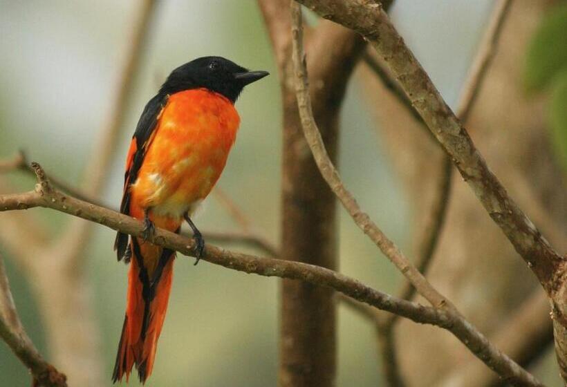 펜션 The Pepper Cottage