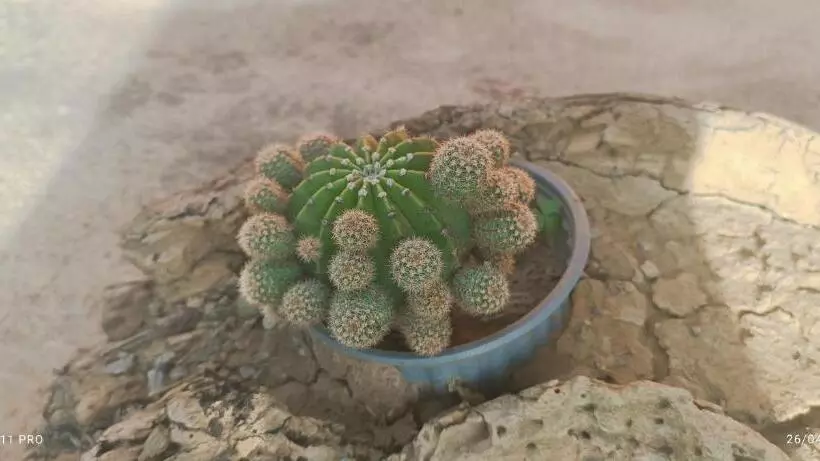 ユースホステル La Posada De Los Tumpis