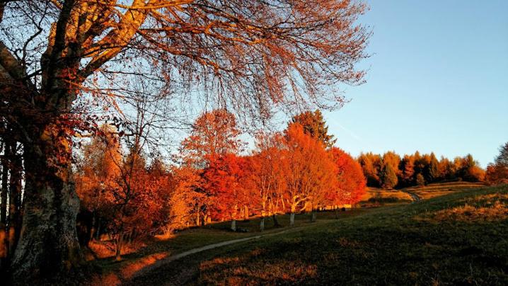 ユースホステル Locanda Da Tullio