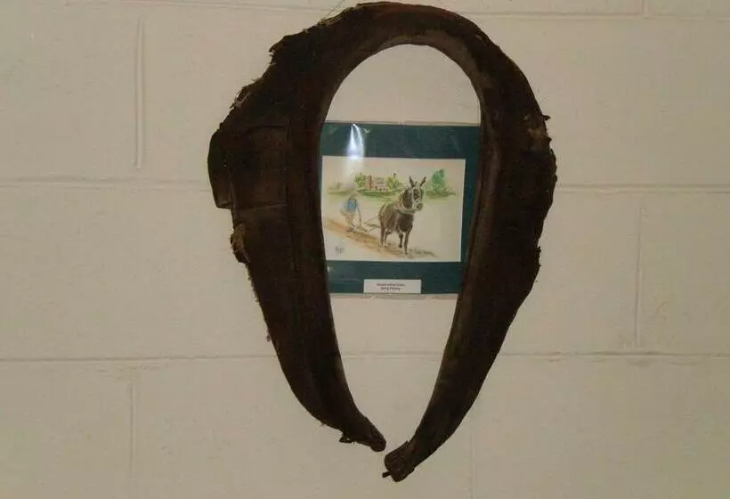 Aamiaismajoitus (B&B) Grandeur Farm Retreat