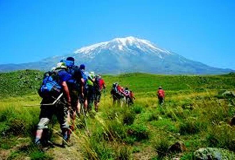 Отель Butik Ertur