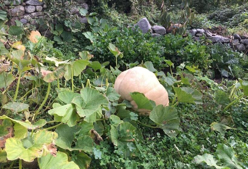 호텔 Fonda Muntanya