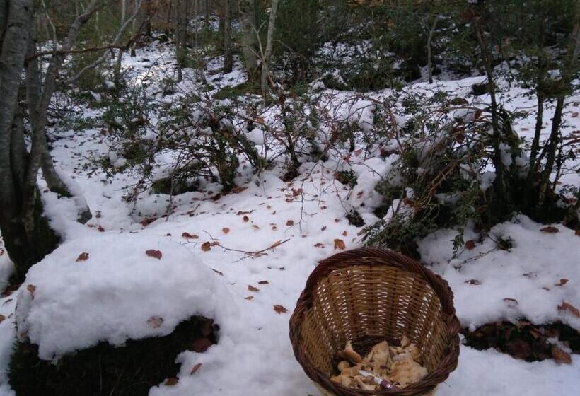 호텔 Fonda Muntanya