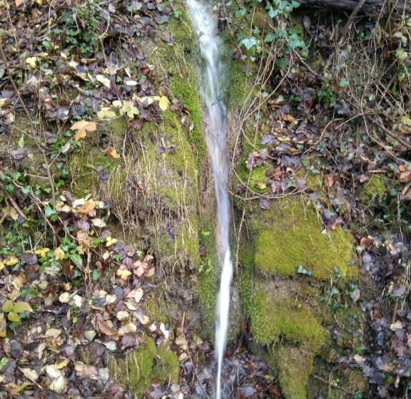 호텔 Fonda Muntanya