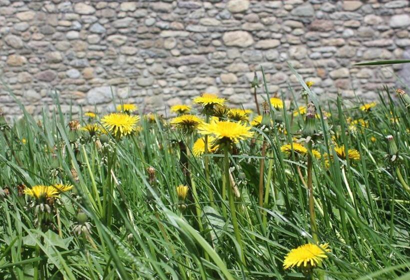 호텔 Fonda Muntanya