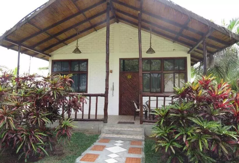 ホテル La Choza Bungalows