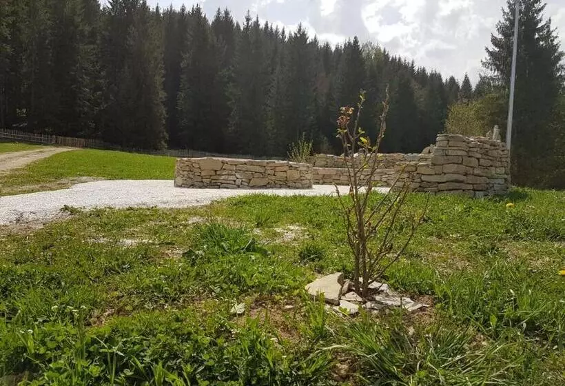 هتل Pensiunea Maria Bucovina