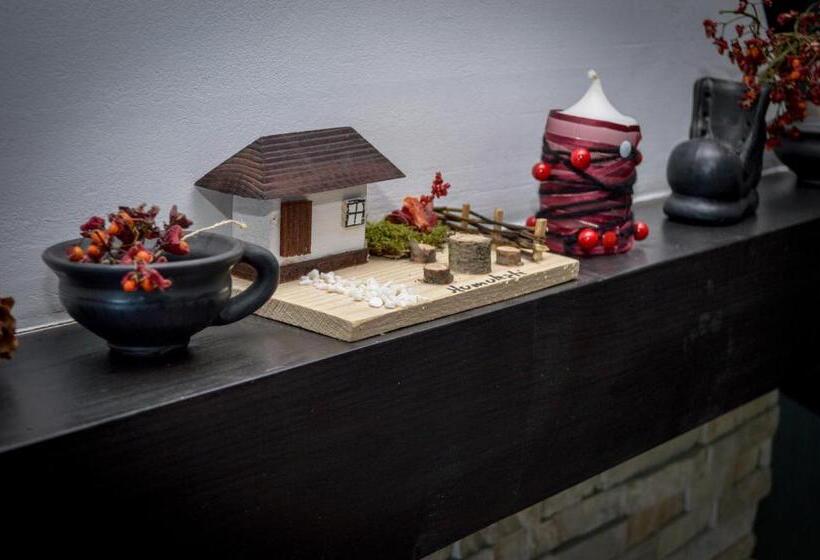 호텔 Pensiunea Maria Bucovina