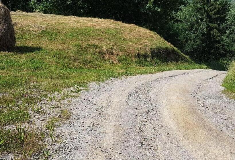 호텔 Pensiunea Maria Bucovina