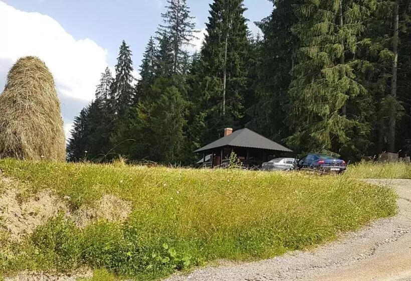 هتل Pensiunea Maria Bucovina