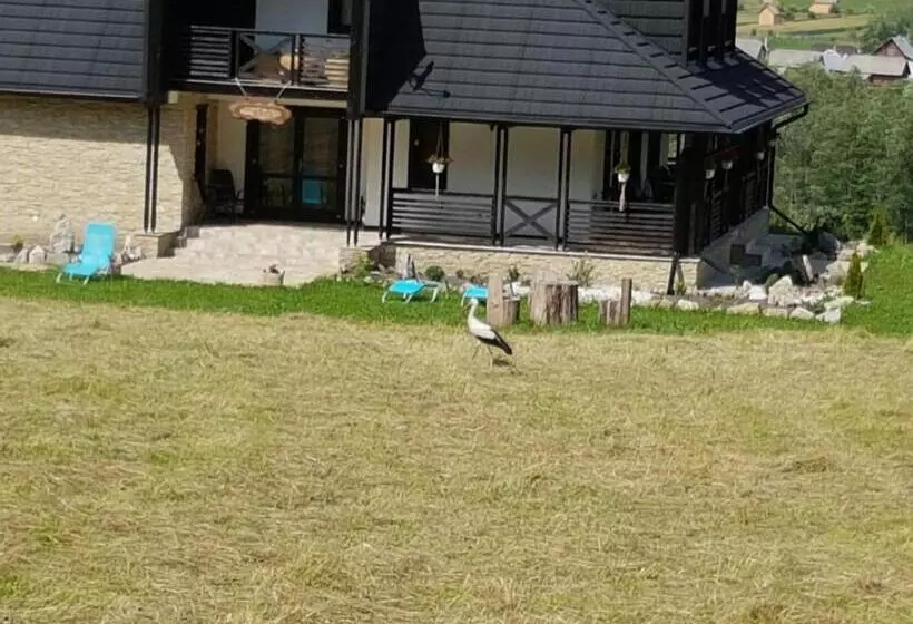 هتل Pensiunea Maria Bucovina