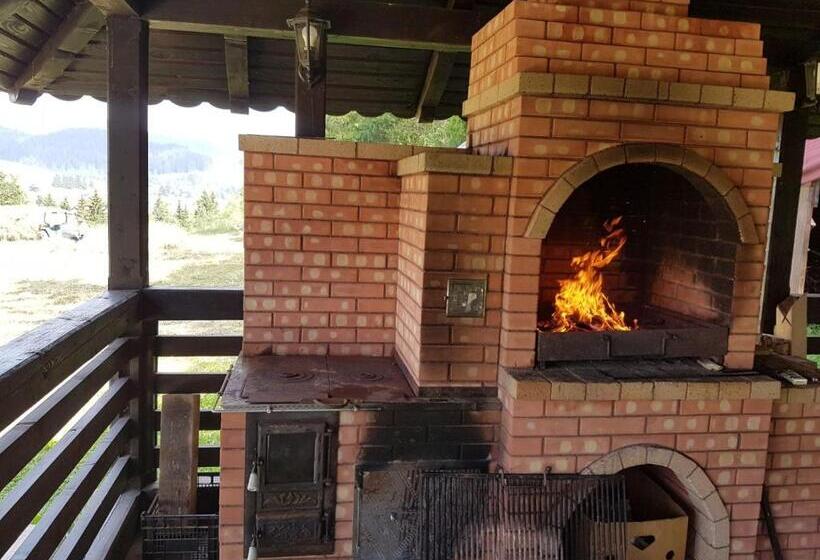 호텔 Pensiunea Maria Bucovina