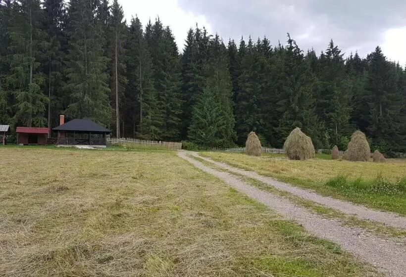 هتل Pensiunea Maria Bucovina