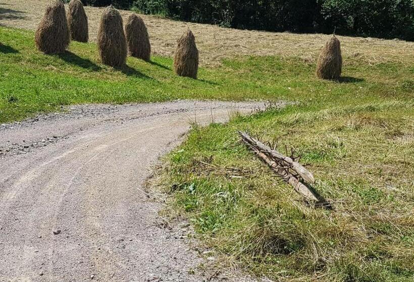 호텔 Pensiunea Maria Bucovina