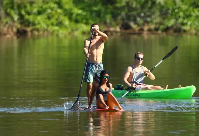 ホテル Playa Reina