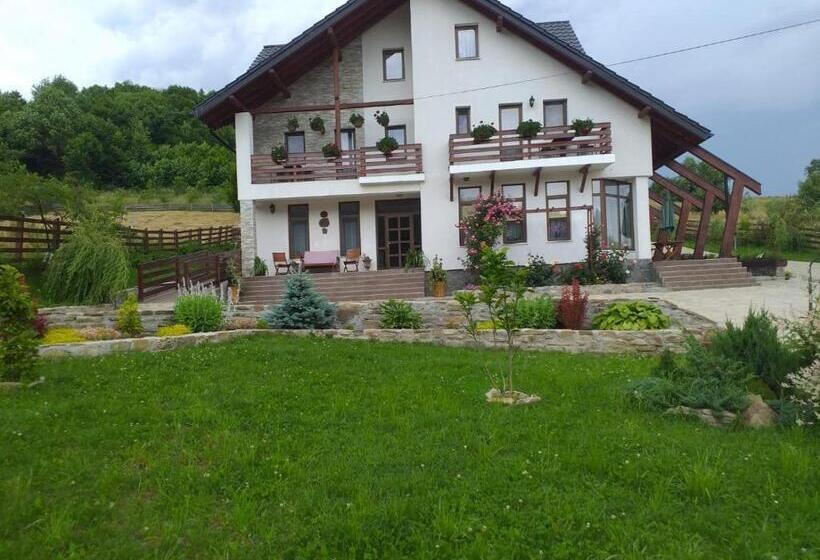 Pensiunea Doina Bucovinei