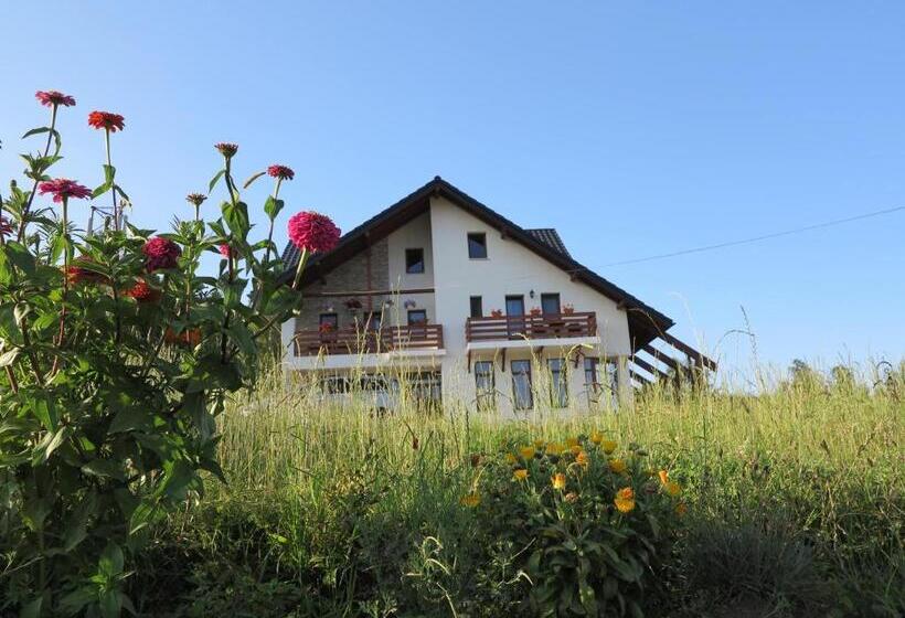 Pensiunea Doina Bucovinei