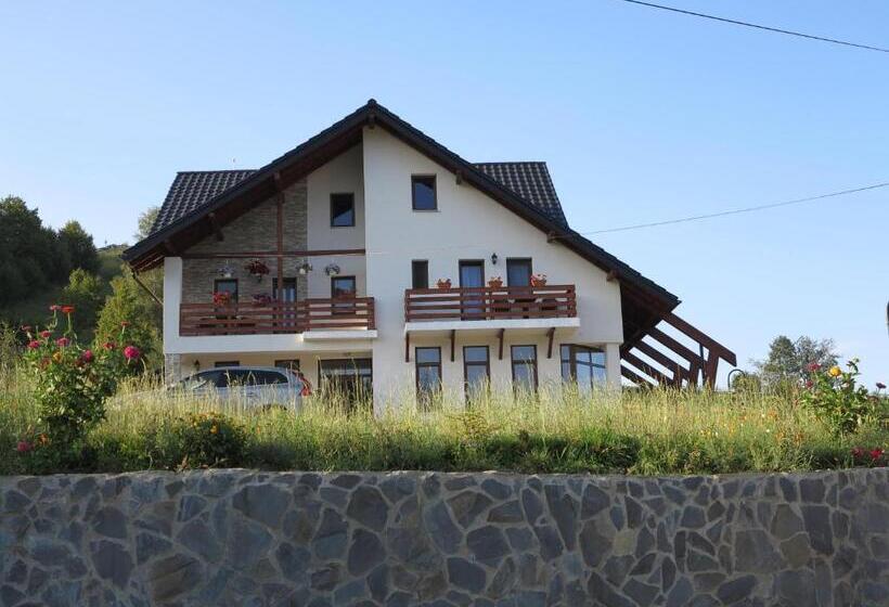 Pensiunea Doina Bucovinei