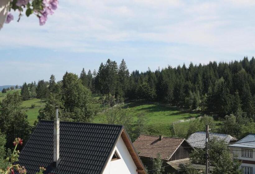 Pensiunea Doina Bucovinei