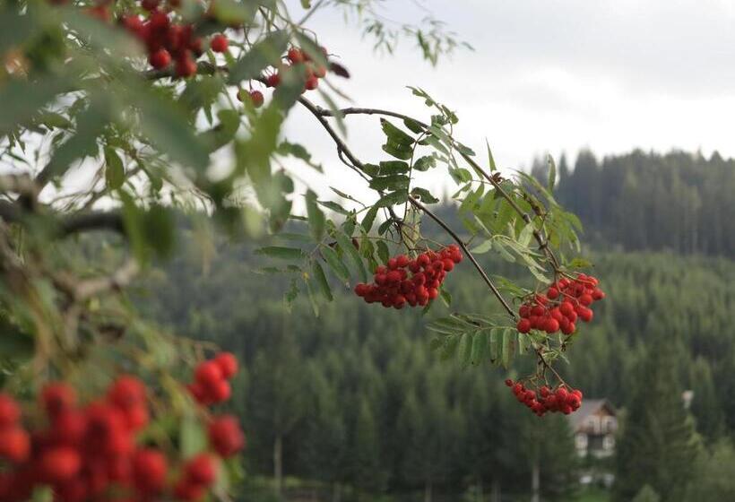Pensiunea Doina Bucovinei