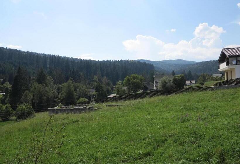 Pensiunea Doina Bucovinei