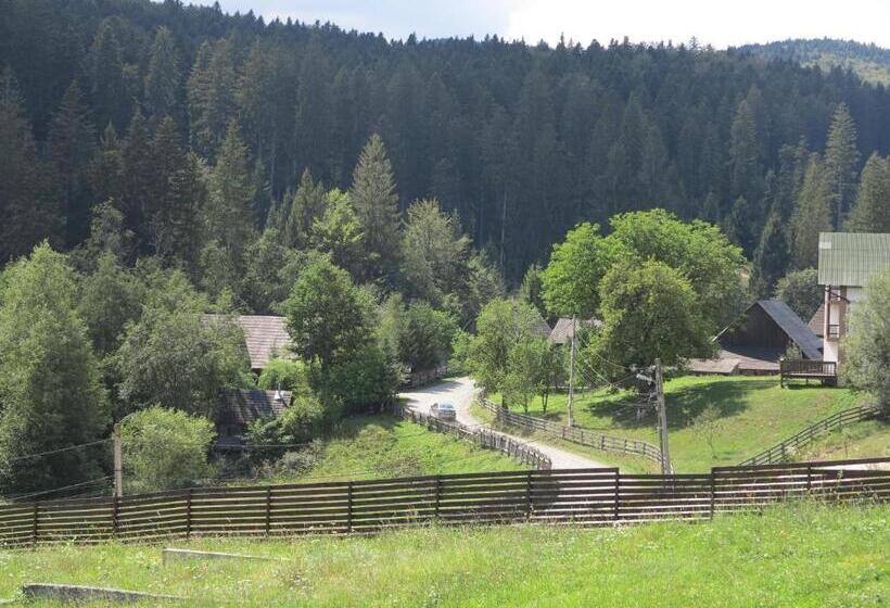 Pensiunea Doina Bucovinei