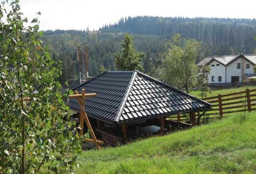 Pensiunea Doina Bucovinei