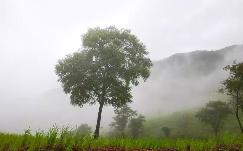 Lomakeskus บ้านเอื้อมดาว เขาค้อ