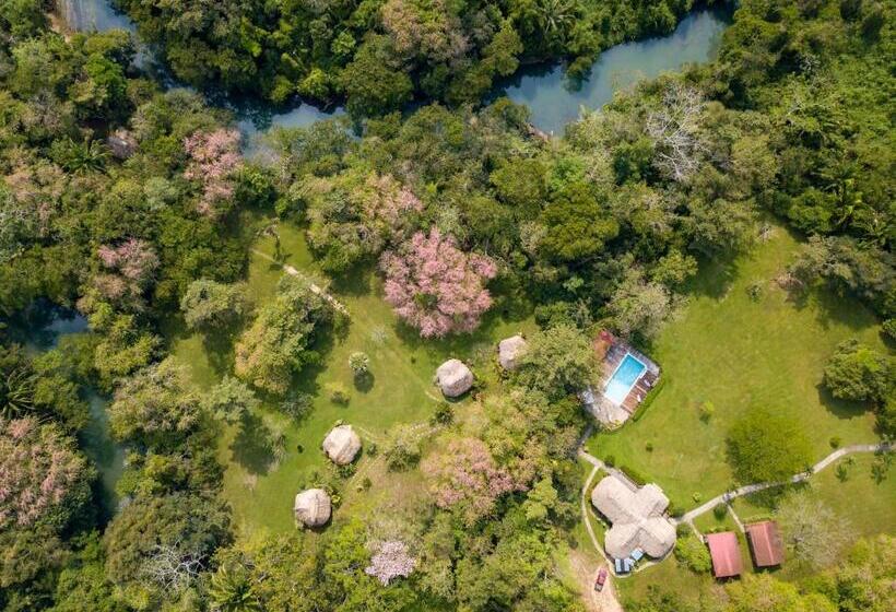 منتجع Tanager Rainforest Lodge