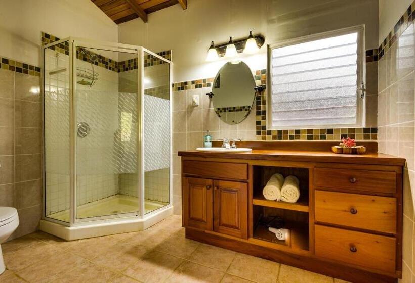 منتجع Tanager Rainforest Lodge