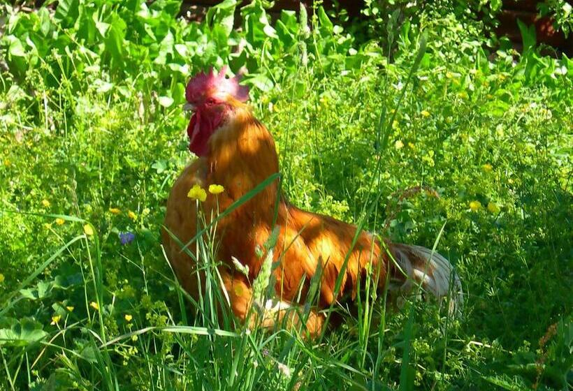 Wiborggården Bed And Breakfast