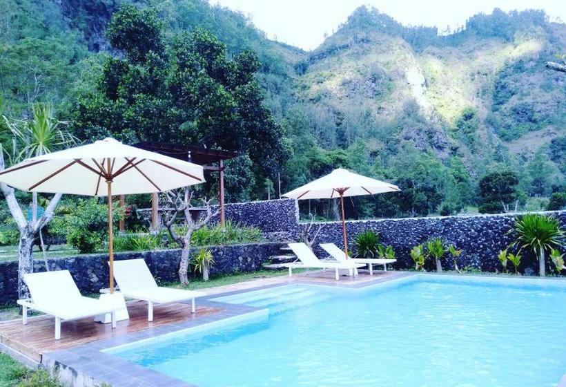 旅馆 Host @ Volcano