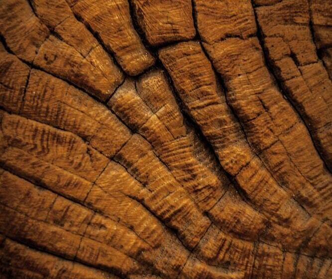 הוסטל Villa Nao