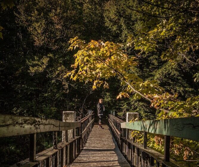 הוסטל Villa Nao